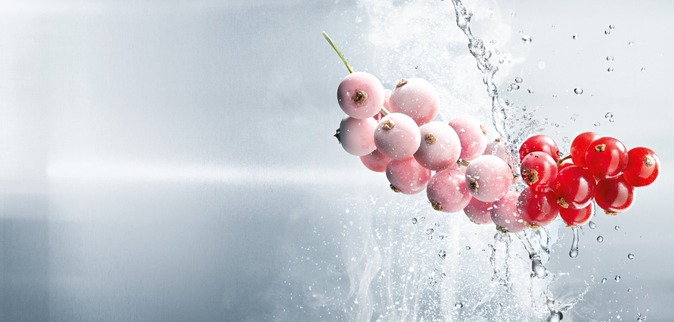 Currants frozen with CRYOLINE technology.
